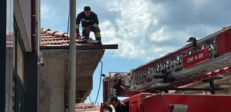 Beyşehir'den kısa kısa