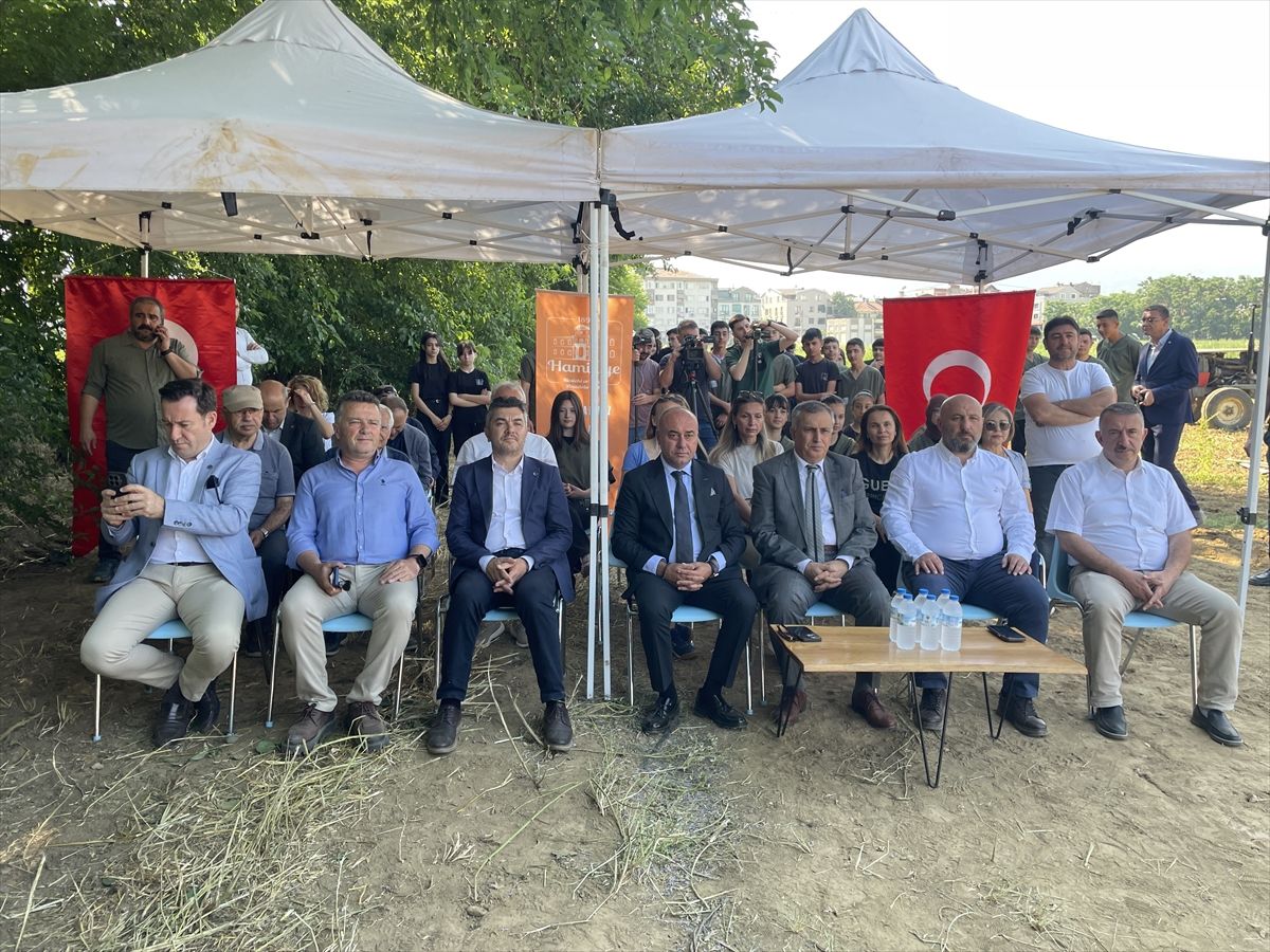 Bursa'daki tarım lisesinin 60 dönümlük alanına zeytin fidanı dikildi