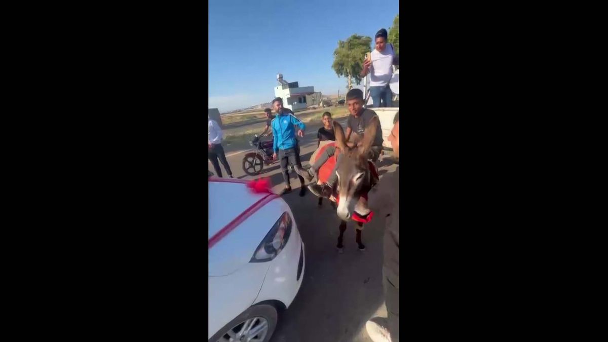 Çocuk çobanlar, eşekle düğün konvoyunun önünü kesip damattan