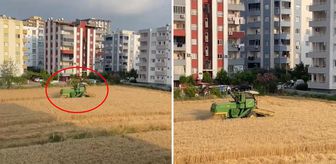 Apartmanların gölgesinde hasat! Arazisini isteyen müteahhitlere tek cümlelik yanıt veriyor
