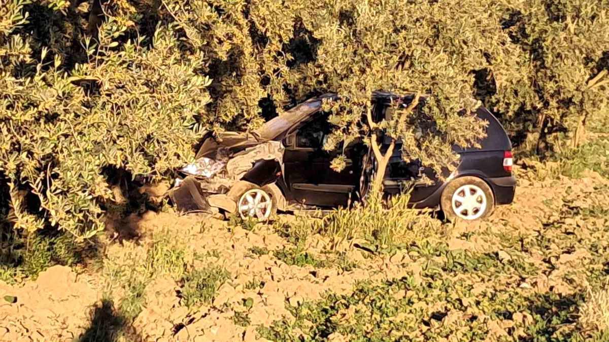 İznik'te zeytin ağacına çarpan otomobilin sürücüsü hava yastıkları sayesinde yara almadan kurtuldu.