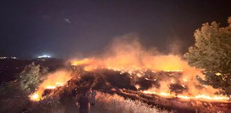 Hatay'da anızda çıkıp zeytin bahçelerine sıçrayan yangın kontrol altına alındı