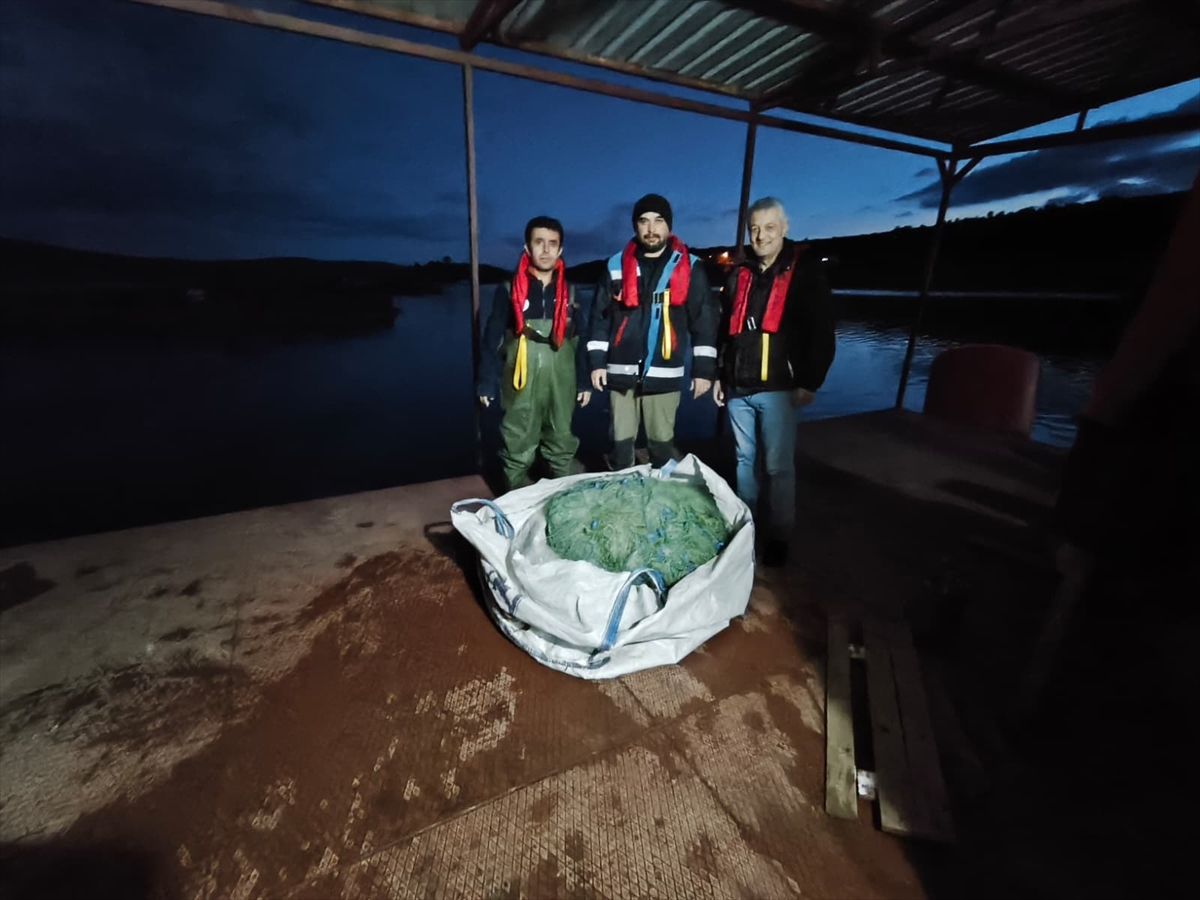 Kastamonu'da barajda kaçak avlanan sazanlar yeniden suya bır