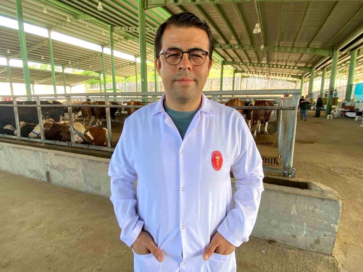 Kene tehdidine dikkat: 200'den fazla hastalık etkeni taşıyab