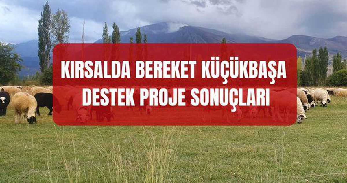 Kırsalda Bereket Küçükbaşa Destek Projesi Sonuçları (TAM İSİM LİSTESİ) Kırsalda Bereket Küçükbaşa Destek Proje sonuçlarına nereden, nasıl bakılır?