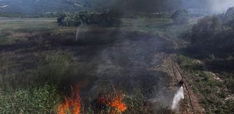 Kocaeli'de sazlıkta çıkan yangın kontrol altına alındı