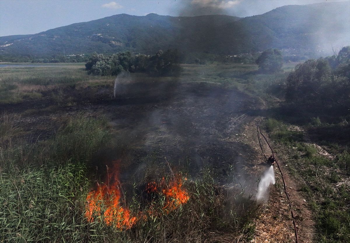 Kocaeli'de sazlıkta çıkan yangın kontrol altına alındı