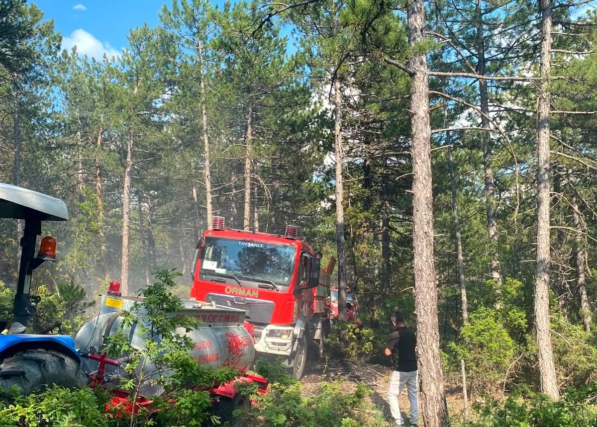Kütahya'da yıldırım orman yangınına neden oldu