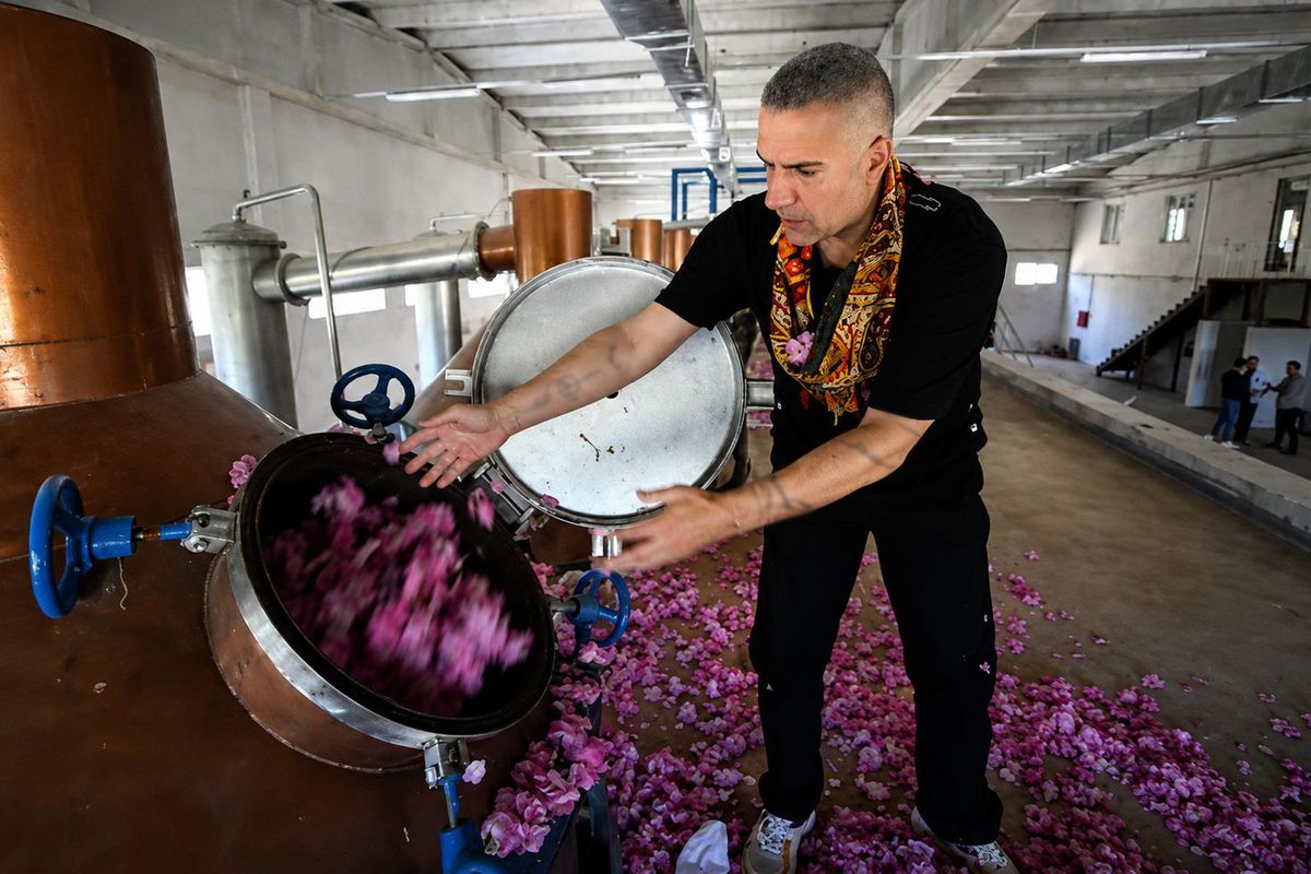 Berdan Mardini'nin gözaltına alınmasına ilişkin haber