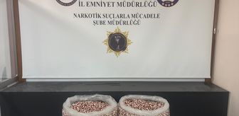 Samsun'da tırda 129 bin 500 sentetik ecza hapı ele geçirildi