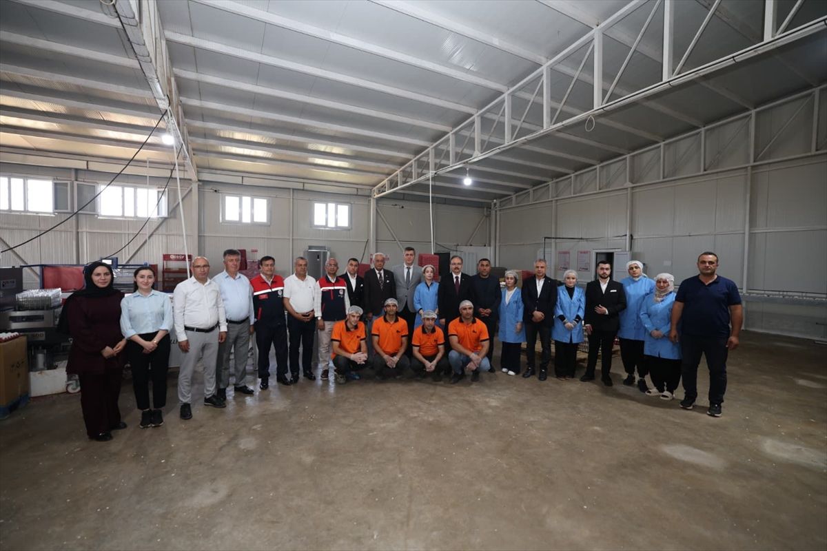Siirt Valisi Kızılkaya tarımsal üretim alanlarında incelemede bulundu