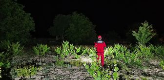 Afyonkarahisar'da ailesinin kayıp başvurusunda bulunduğu kişi aranıyor
