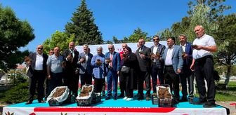 Aksaray'da üreticilere çilek fidesi dağıtıldı