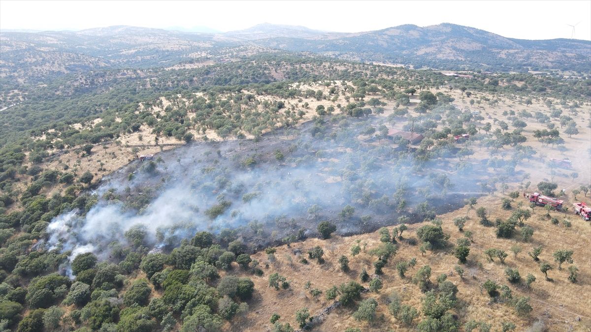 Çanakkale'de zirai arazi yangınına müdahale ediliyor
