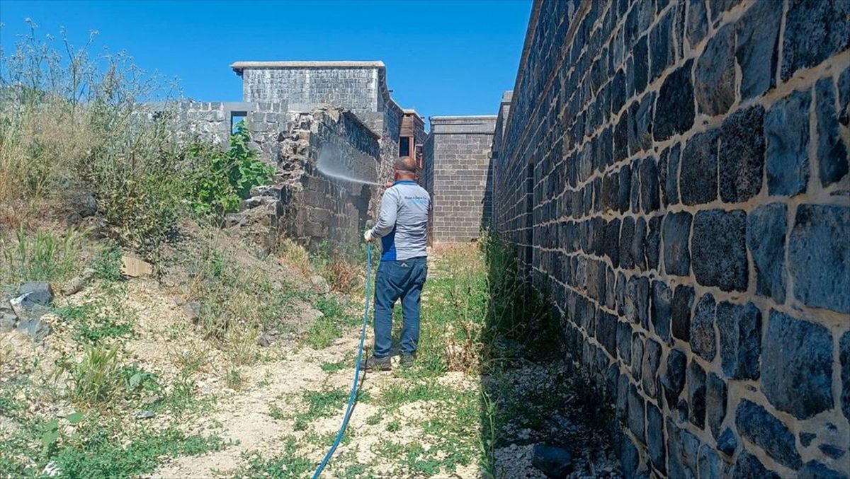Diyarbakır'da akreplere karşı ilaçlama çalışması başlatıldı