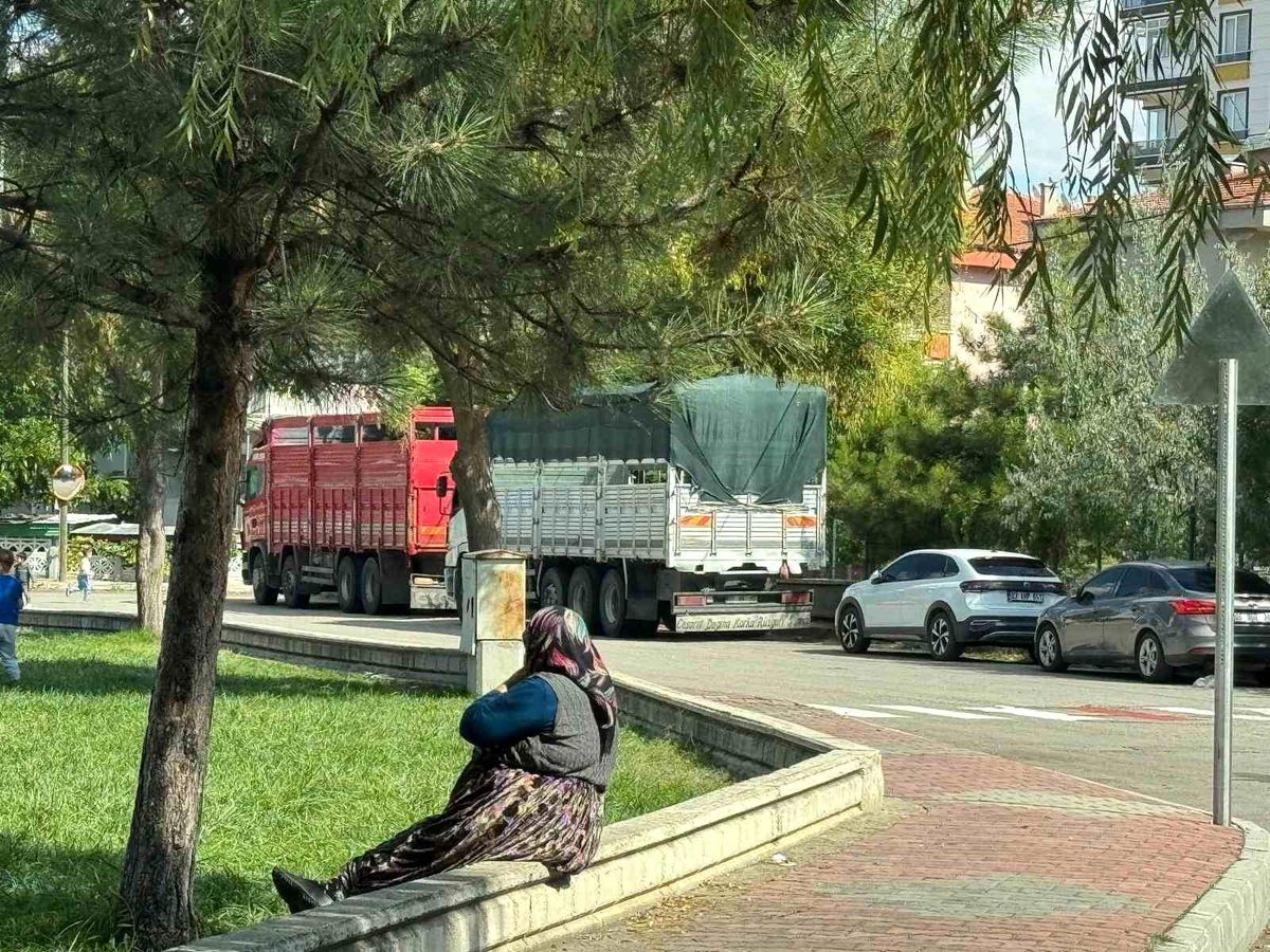 Afyonkarahisar'da Tır ve Kamyonlara Sıkı Denetim: Uyarıya Uymayana Katı Ceza