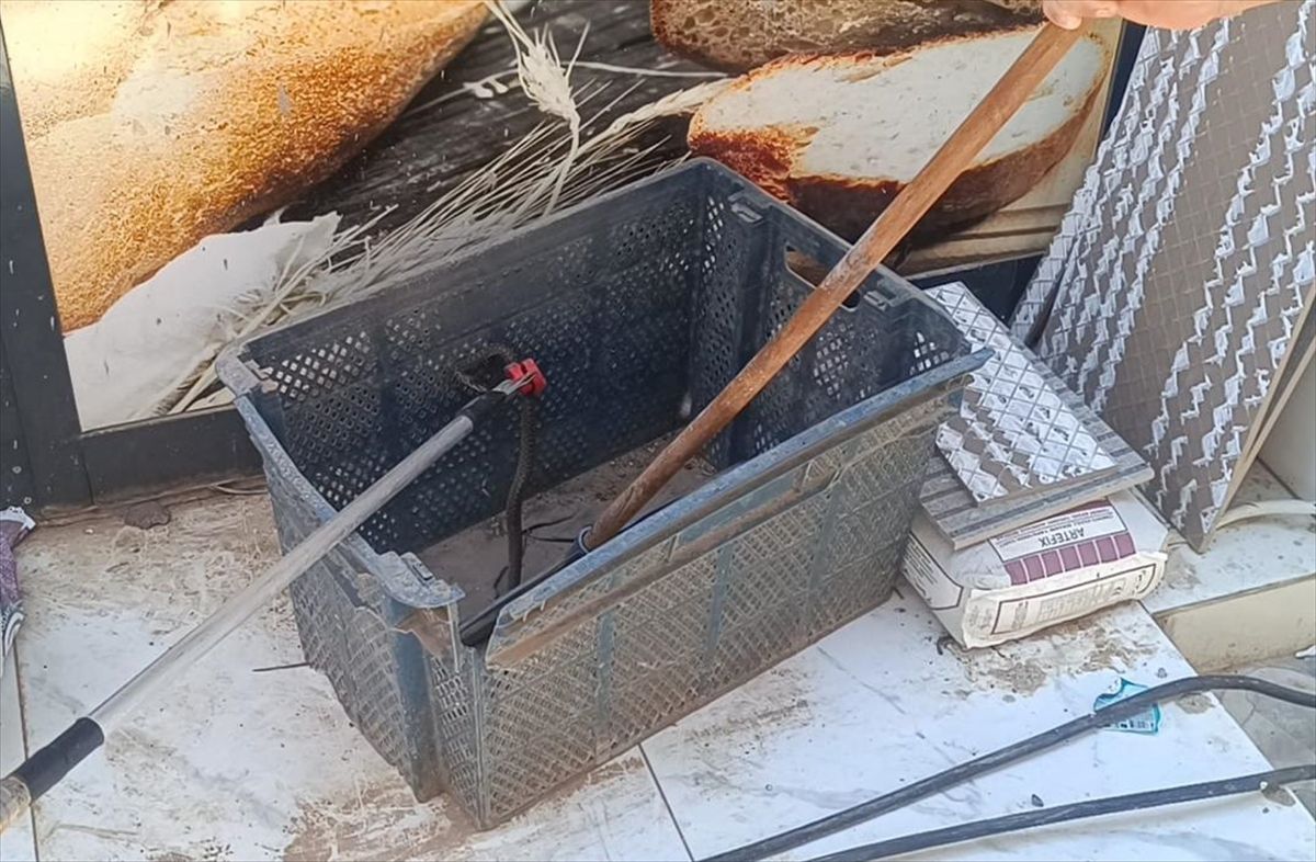 Gaziantep'in İslahiye ilçesinde bir fırının ekmek sandığında bulunan yılan, itfaiye ekipleri tarafından yakalanıyor.
