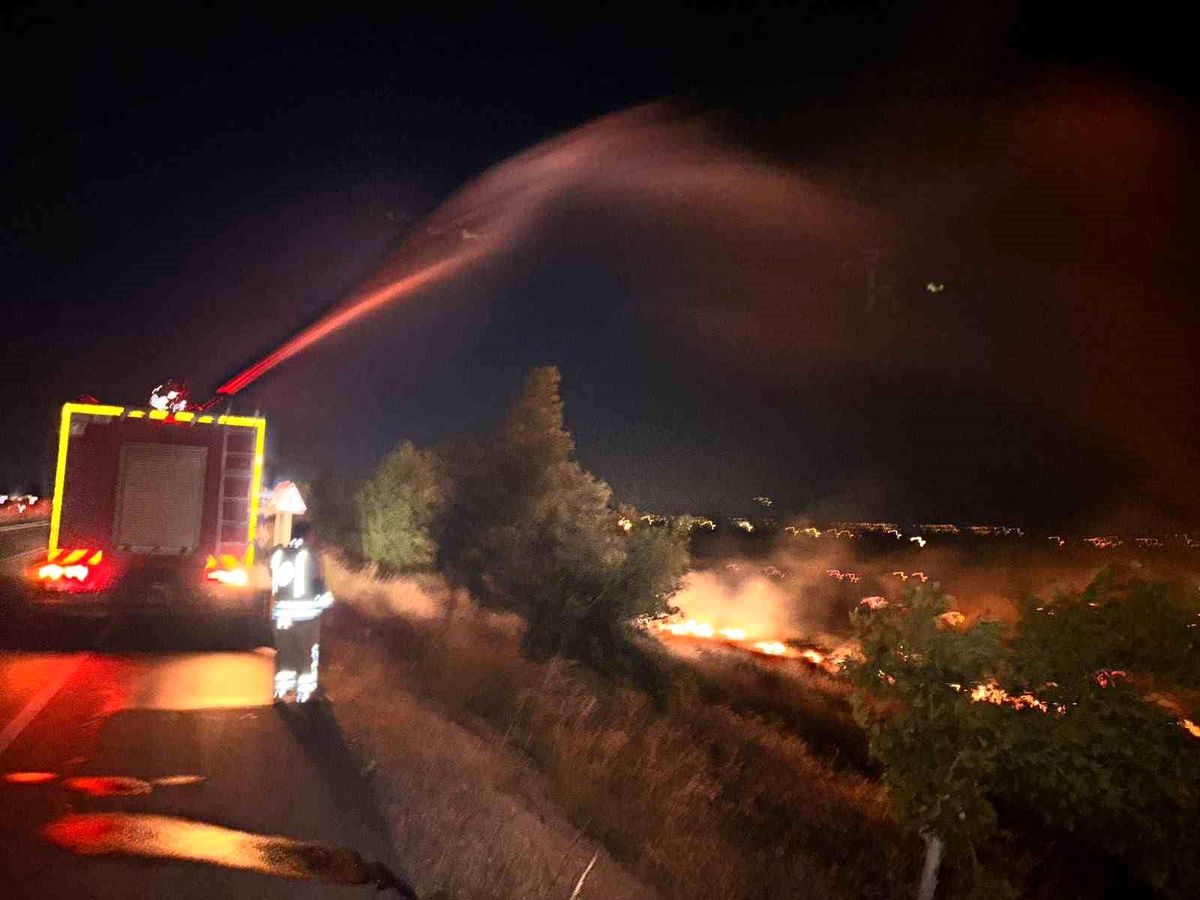 Hatay'da anız yangını zeytinliğe sıçradı: 200 dönüm arazi za