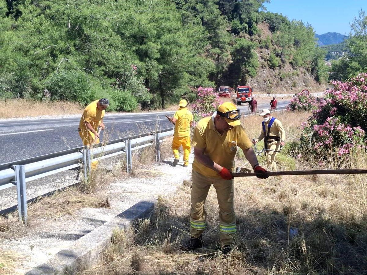 Marmaris'te yol kenarındaki kuru otların temizlendiği ormanlık alan