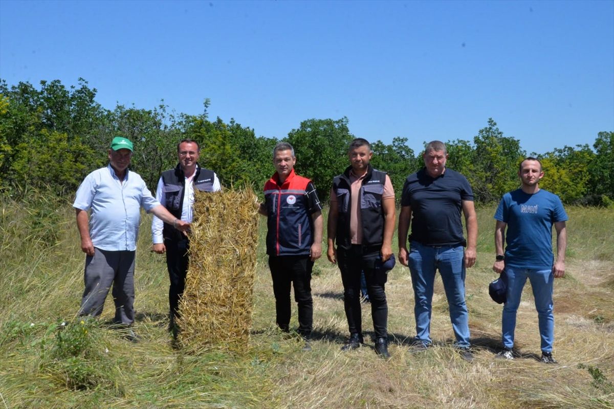 Meriç'te mera otları balyalanarak hayvancılığa destek sağlanıyor