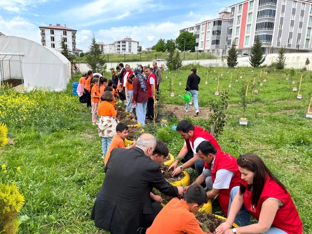 Öğrenciler yetiştirdikleri fideleri toprakla buluşturdu