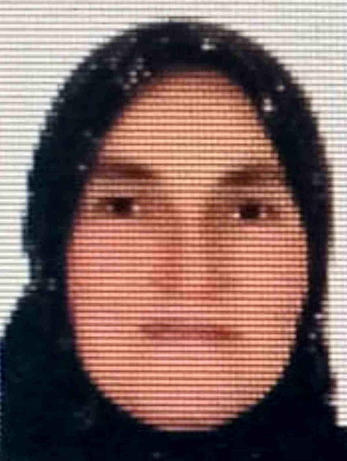 Ordu'da ineğin teptiği kadın hayatını kaybetti