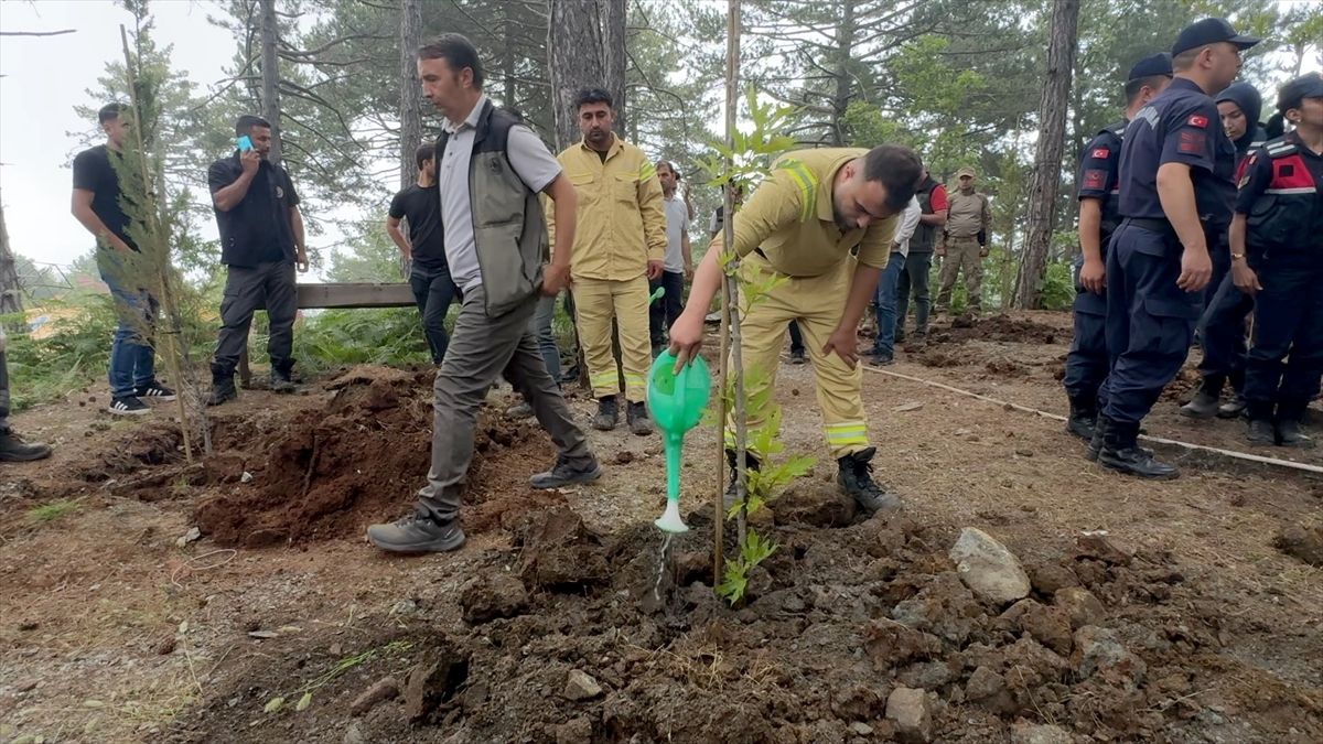 Osmaniye'de orman arazisine kaçak inşa edilen evlerin yıkımı sürüyor