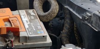 Sivas'ta otomobilin motoruna giren yılan itfaiye ekiplerince çıkarıldı