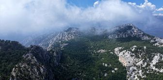 Termessos'ta 'bağımsızlık' ve 'kehanet-fal' yazıtları tespit edildi