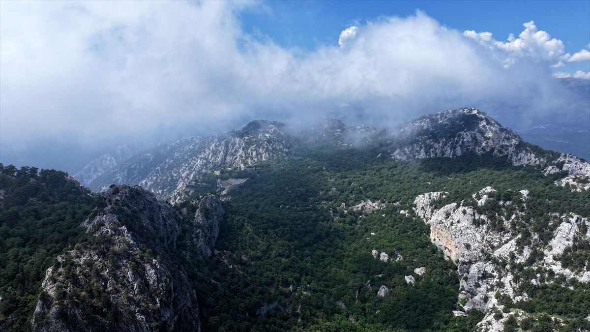 Termessos'ta 'bağımsızlık' ve 'kehanet-fal' yazıtları tespit edildi