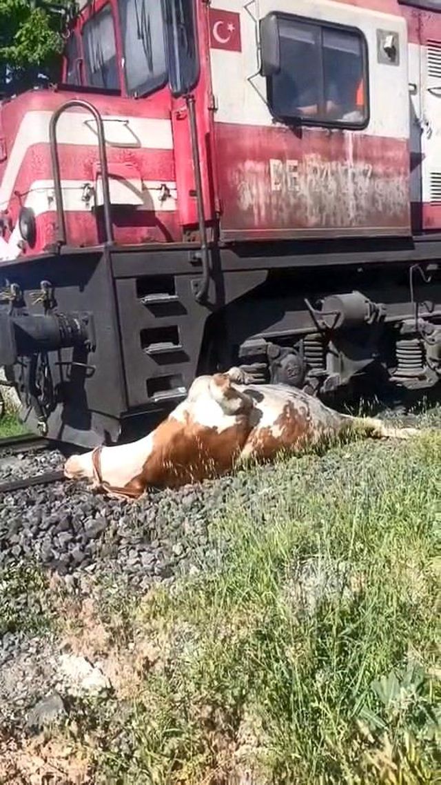 tren carpmasi sonucu raylara sikisan inegin t 19940138 o