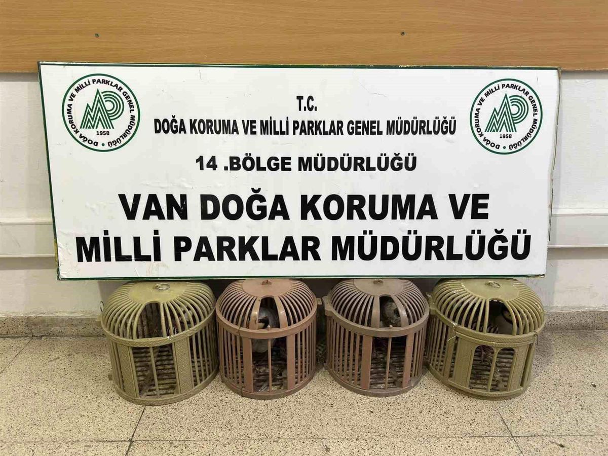 Van'da kaçak avcılığa 51 bin 878 TL ceza