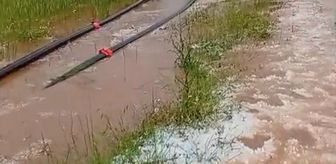 Afyonkarahisar'da dolu etkili oldu