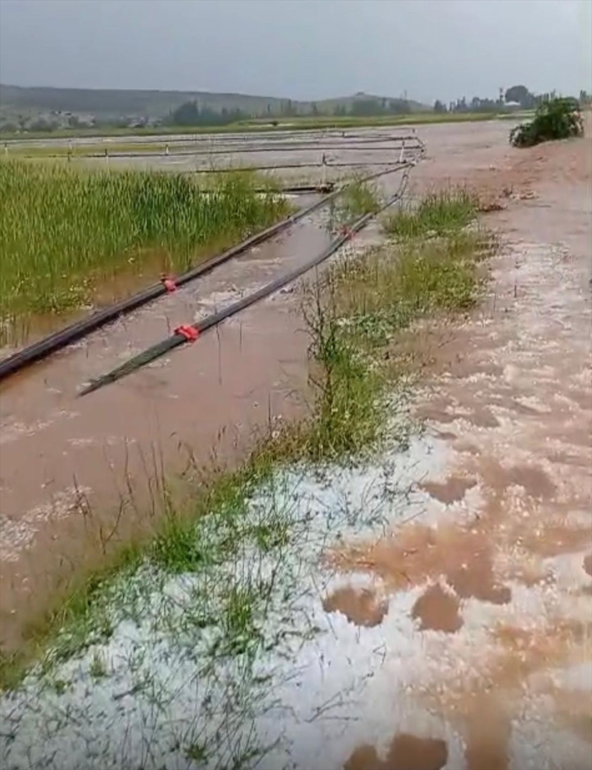 Afyonkarahisar'da dolu etkili oldu