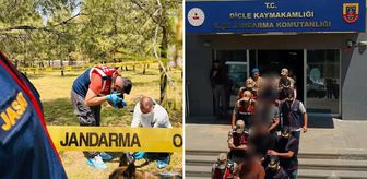 Diyarbakır'da Askeri Balta cinayetinde düğüm çözüldü: JASAT'ın özel ekibi gerçeği ortaya çıkardı
