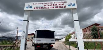 Elazığ'da belediye ekipleri sahipsiz hayvan ihbarlarına 7/24 cevap veriyor