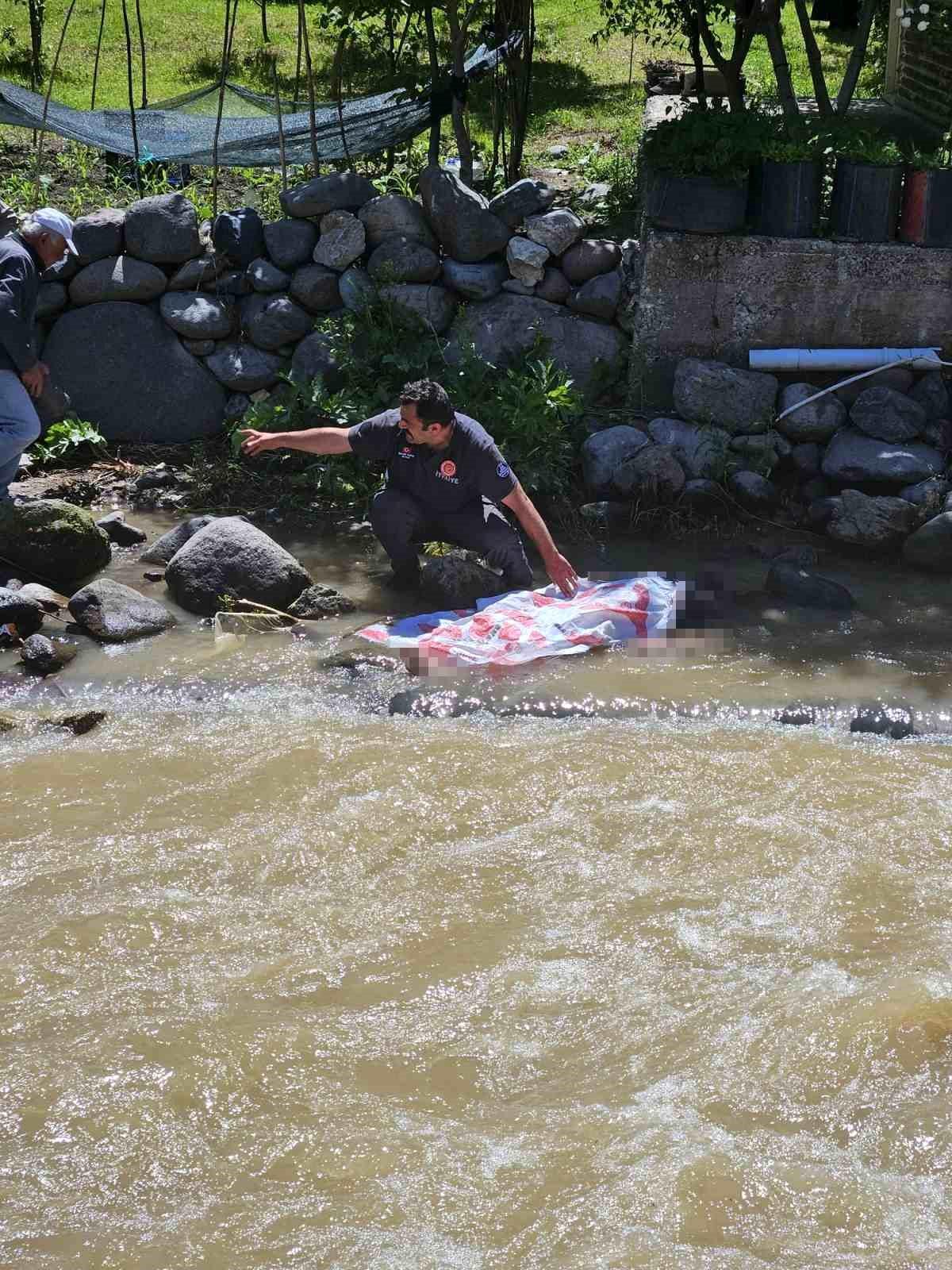 Erzurum Tortum'da piknik alanından genel bir görüntü