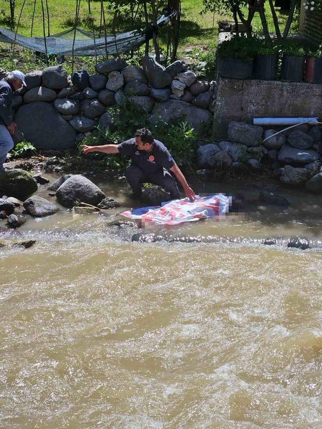 erzurum da acili piknik koprude barfiks ceker 19944931 o