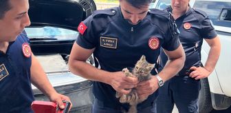 Eskişehir'de aracın motor kısmına sıkışan kedi yavrusu kurtarıldı