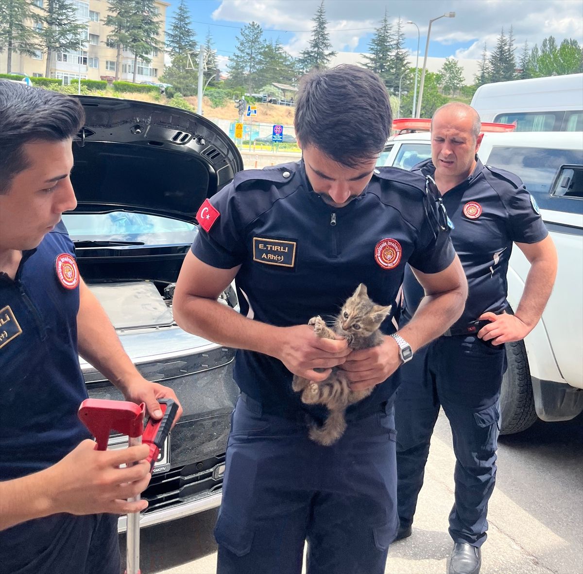 Eskişehir'de itfaiye ekiplerinin bir aracın motorundan kurtardığı yavru kedi