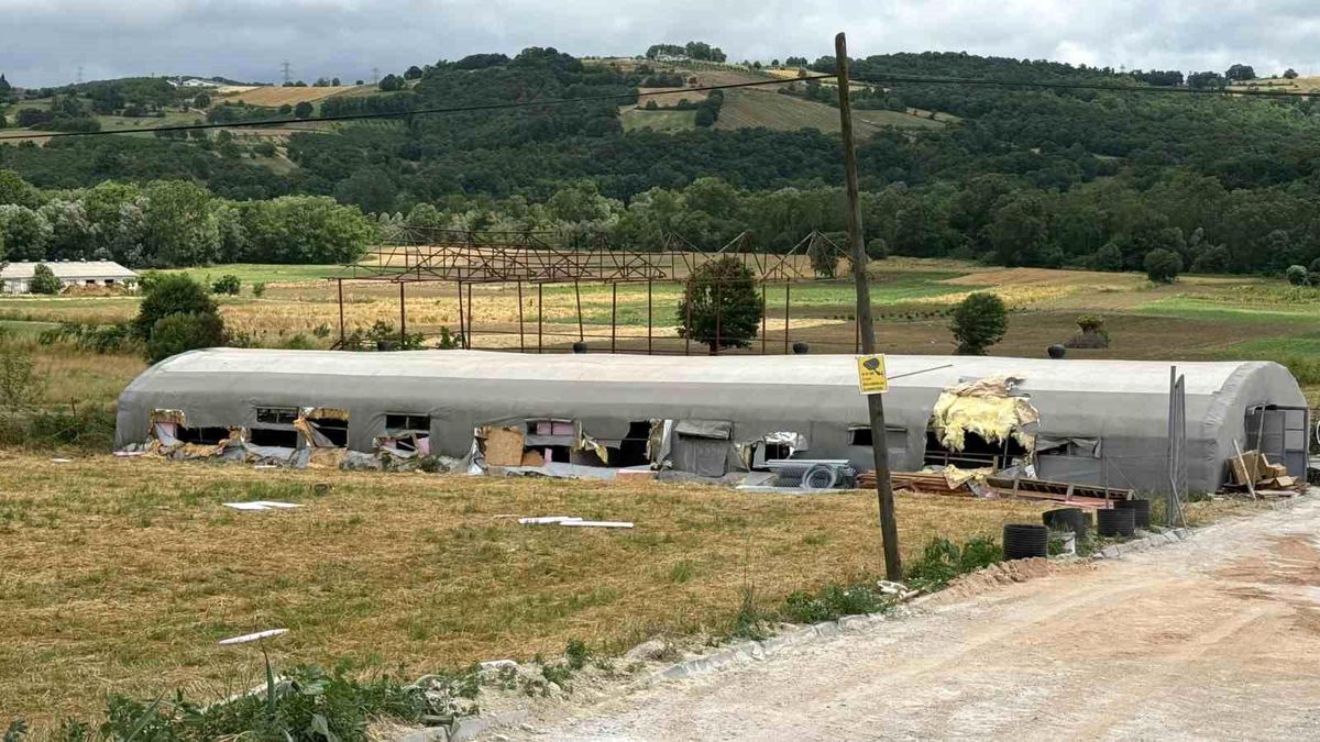 Sakarya'da bir çiftlikte çıkan yangında alevler yükseliyor, itfaiye ekipleri müdahale ediyor.
