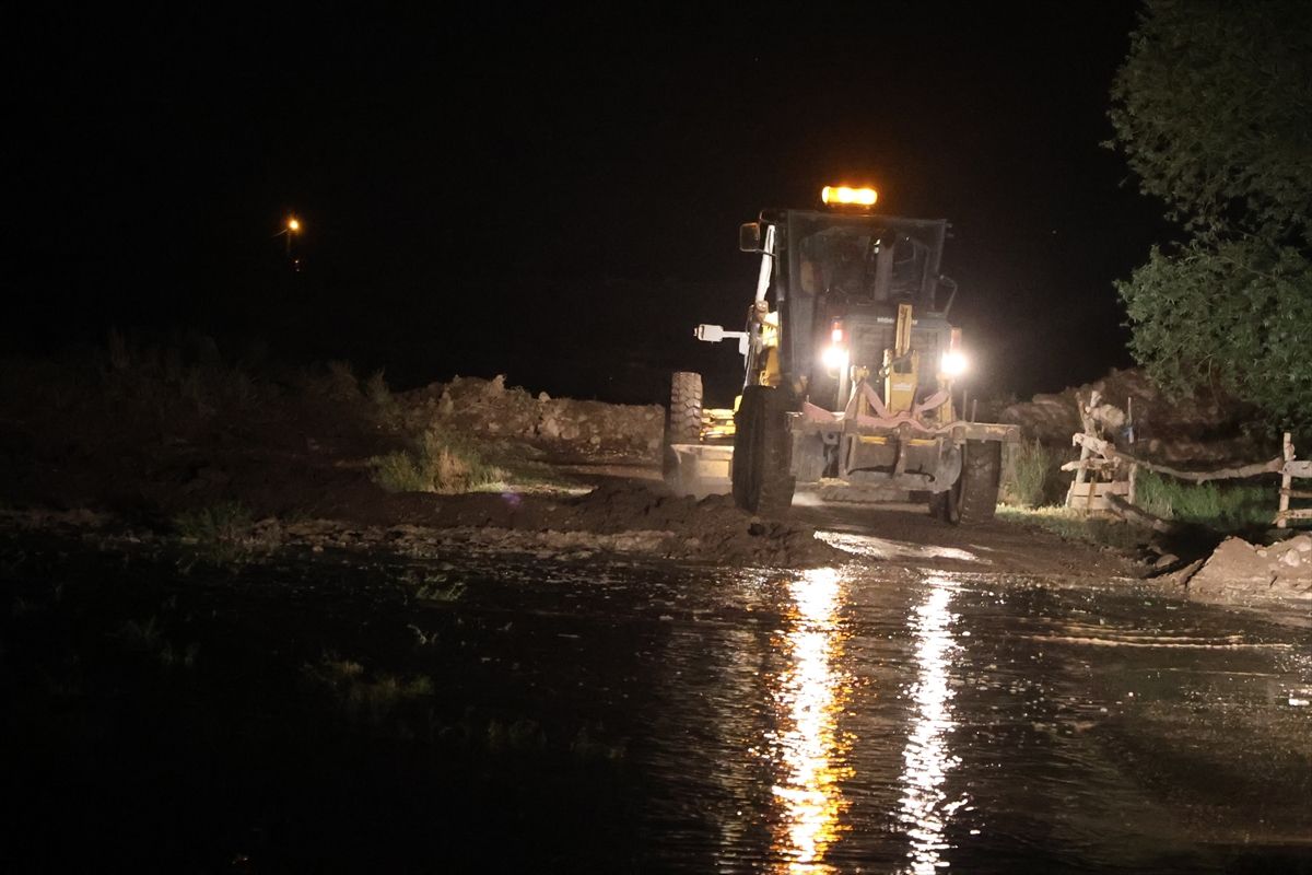Iğdır'da yaylada yıldırım düşmesi sonucu yaralanan çoban ve telef olan koyunlar.