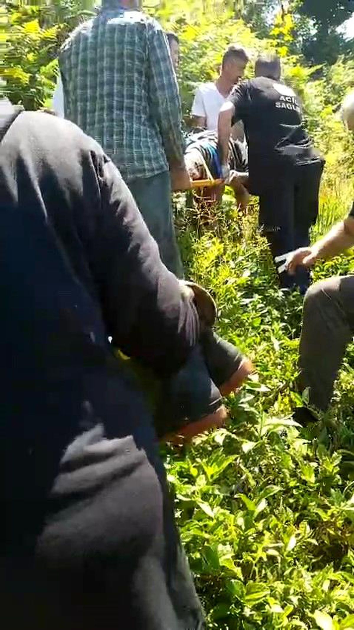 Rize'de kiraz toplarken ağaçtan düşen yaralı vatandaşın bulunduğu olay yeri.