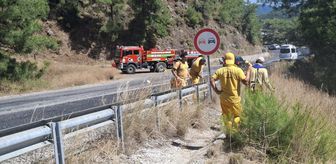 Marmaris'te orman yangınlarına karşı yol kenarlarında 'yanıcı madde' temizliği başlatıldı