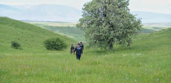 Muş'ta kaybolan çobanı arama çalışmaları sürüyor