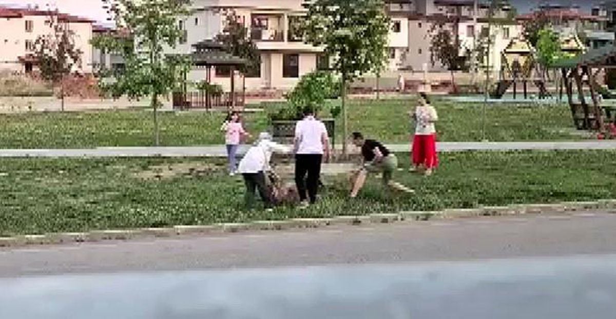 Parkta dolaştırılan köpeğe saldıran başıboş köpek, doktor tarafından etkisiz hale getirildi