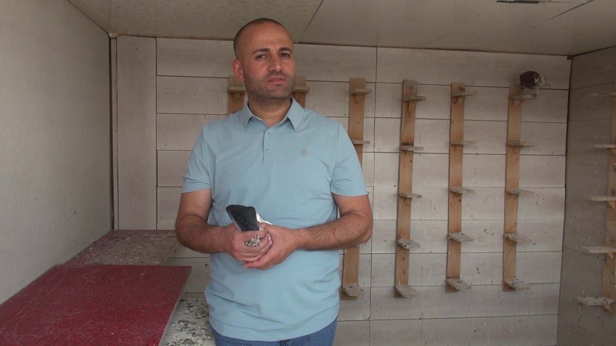 Sanal medya bağımlılığından güvercinler sayesinde kurtuldu