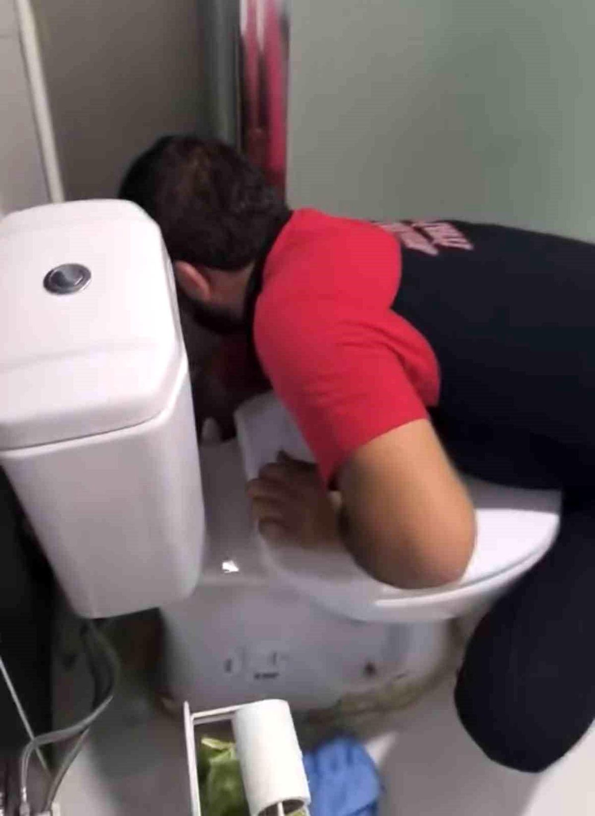 Siirt'te lavabo gider borusuna sıkışan 2 yavru kedi itfaiye ekiplerince kurtarıldı