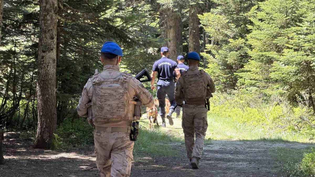 Uludağ'ın zümrüt yeşili ormanları Jandarma'ya emanet