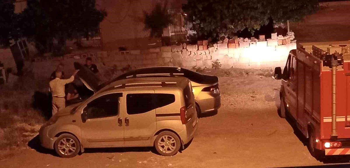 Adıyaman'da itfaiye ekipleri tarafından otomobil motorundan kurtarılan kedi